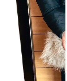 Daniel Wellington | アナログ腕時計