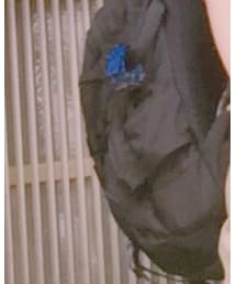 NEW ERA | バックパック/リュック