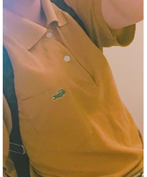 LACOSTE | Tシャツ/カットソー