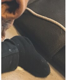 無印良品 | ソックス/靴下