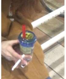 タピオカ | その他