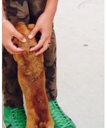 GQ JAPAN | その他パンツ