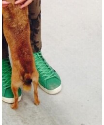 adidas | スニーカー