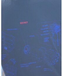 24karats | Tシャツ/カットソー