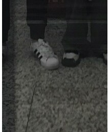 adidas | スニーカー