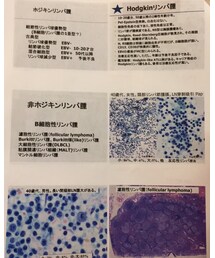 研修内容📖✨ | その他