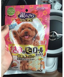 チワワちゃんのおやつ🐶 | 福袋/福箱