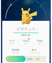 ピカチュウGET✨ | 福袋/福箱