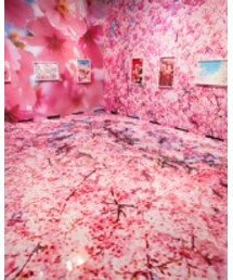 蜷川実花写真展🌸 | 福袋/福箱