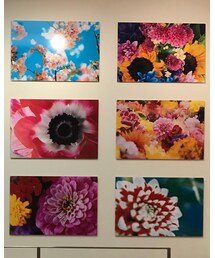 蜷川実花写真展🌸 | 福袋/福箱