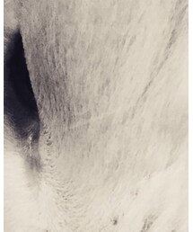 ハイブリッド | その他