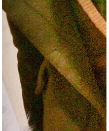 ZARA | ピーコート