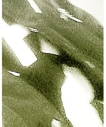 LILWHITE. | Tシャツ/カットソー