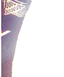 Calvin Klein Underwear | ライダースジャケット