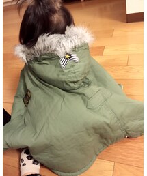 バックショット | その他