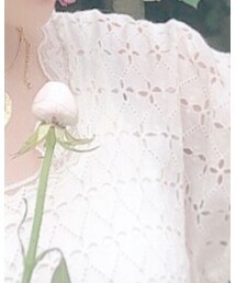 Another Edition | ワンピース