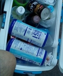 生ヒザ&毛。 | トップス