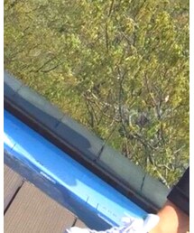 BLESS | ネックレス