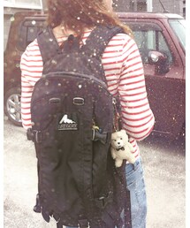 GREGORY | バックパック/リュック