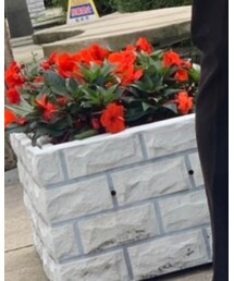 差し色にされた花 | その他