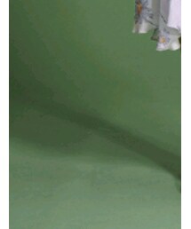 西西和 | ワンピース