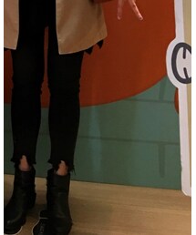 SugarCat | その他