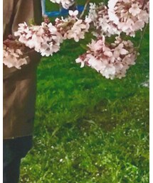 ZARA | シャツ/ブラウス