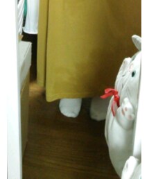 tutuanna | ソックス/靴下