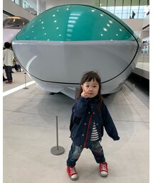 はやぶさ🚅 | その他