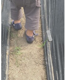 Noeil aime BeBe | シューズ