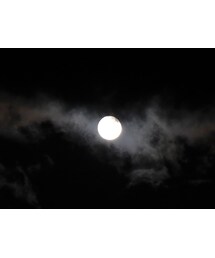 お月見☆ | その他