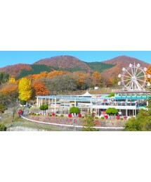 遊園地・紅葉♪ | 福袋/福箱