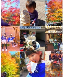 秋を満喫♪ | 福袋/福箱