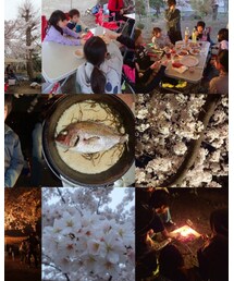 花見BBQ～♪ | 福袋/福箱