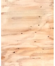 THOM BROWNE | メガネ