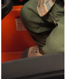 Birthday | ソックス/靴下