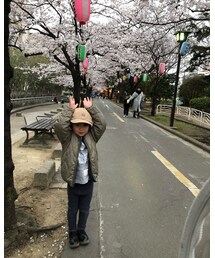 桜とうさぎさん(らしい) | その他