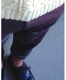 COMME des GARCONS HOMME PLUS | スラックス