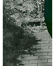 NEIGHBORHOOD | デニムパンツ