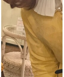 DAISY | ワンピース