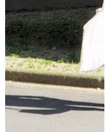 ポールスミス | トートバッグ