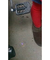 GAP | タイツ/ストッキング