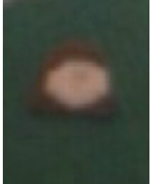 NITS | ブローチ/コサージュ