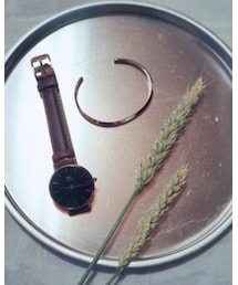 Daniel Wellington | アナログ腕時計