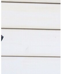 Johnstons of Elgin | ストール/ショール