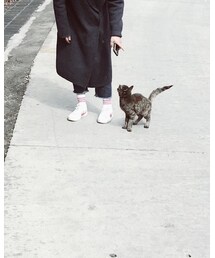 回力 | シューズ