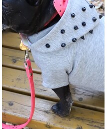 vivivi | ペットウェア