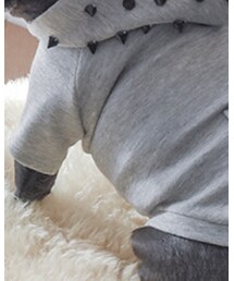 vivivi | ペットウェア