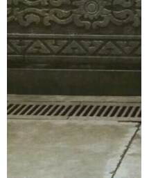 ZARA | Tシャツ/カットソー