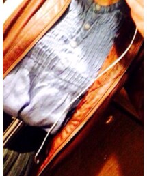 LOWRYS FARM | シャツ/ブラウス